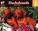   - Dachshund 1000pc Puzzle