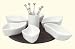 197608 Servierset 8 teilig Fondue / Raclett / Tappa / Finger Food / Schalen mit Brett und Stickern