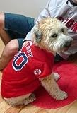 Officially Licensed by MLB - Boston Red Sox Dog Baseball Jersey - Large