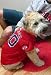Officially Licensed by MLB - Boston Red Sox Dog Baseball Jersey - Large