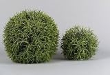 Produkt-Bild: Podocarpuskugel 30cm gr&uuml;ngrau