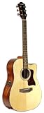 Hohner Guitar HW350CE Dreadnaught Acoustic/Electric Guitar with Hardshell Case