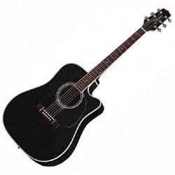 Childrens Toyshop  Musical Instruments : Takamine EF341SC Dreadnought Cutaway Acoustic-Electric Guitar, Gloss Black