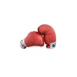Kid-Sized Rocky Gloves with Sound Effects