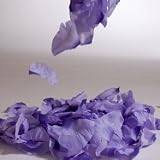 Lavender Rose Petals