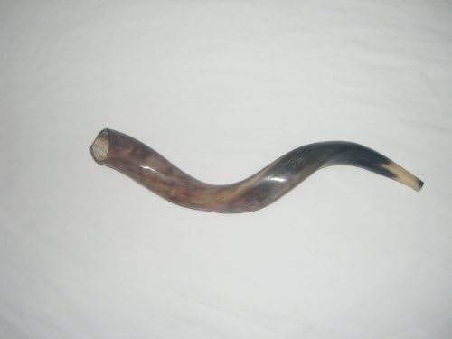 60-69 cm (24"-27") Kudu Yemenite HORN Shofar Kosher All polished New