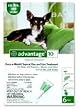 Advantage Topical Flea Treatment for Dogs up to 10 Lbs (6 Applications)