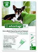 Advantage Topical Flea Treatment for Dogs up to 10 Lbs (6 Applications)