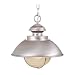 Vaxcel OD21518BN, Lighthouse 1 Light Nautical Outdoor Lighting Pendant Fixture, Nickel, Glass, B2466