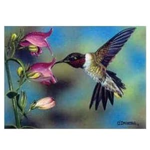 Ruby Red and Hot Pink 8x10 Print by 