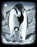 Review Oasis  / Reeves - Silver Scraperfoil Penguins