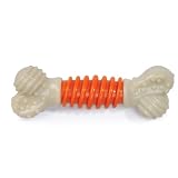 Nylabone Proaction Dog Dental Chew, Large