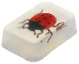 Clearly Fun Soap Ladybug   Soap  (Pack of 3)