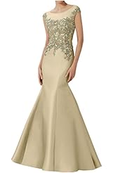 Plus Size Mermaid Lace Applique Satin/Tulle   Ball Gown Evening Dress/Prom Dress/Party Dress 