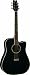 Washburn D10SCE B Cutaway Acoustic / Electric Guitar - Black
