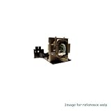 USHIO 59.J9902.CG1 / 59.J9901.CG1 Projector Lamp with Housing