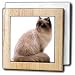 Cats - Himalayan - Tile Napkin Holders