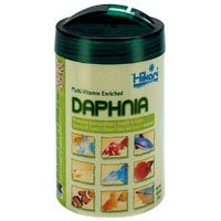 Freeze Dried Daphnia - 0.42 oz. by HIKARI SALES USA INC