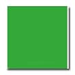 Light Green Simple Stripes Self Stick Wall Border