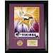 Minnesota Vikings Team Pride Photomint by Highland Mint