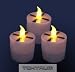 Tools & Hardware : TEKTRUM SOLAR FLICKERING CANDLE LIGHTS (Set of 3)
