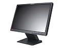 Lenovo L197w 48,3 cm (19 Zoll) TFT wide hybrid
