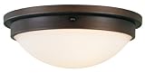 Sensation Collection 15 Wide Ceiling Light Fixture