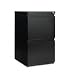 Office Products : Two-Drawer Mobile Pedestal File with Full-Length Pull, Black, 19-1/4" Deep AELPB542819BL
