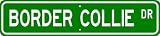 Border Collie STREET SIGN ~ High Quality Aluminum ~ Dog Lover
