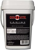 Dinovite Dog Allergy Skin Coat Supplement