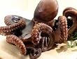 Octopus - Octopus 1-2 lb