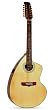 Giannini GWSCRA12-EL Brazil Series Steel Craviola&Acirc;&reg; Guitar (Acoustic-Electric, 12-String)