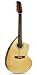 Giannini GWSCRA12-EL Brazil Series Steel Craviola&Acirc;&reg; Guitar (Acoustic-Electric, 12-String)