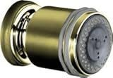 IMAGE OF KOHLER K-8510-AF MasterShower Two-Way Bodyspray, Vibrant French Gold