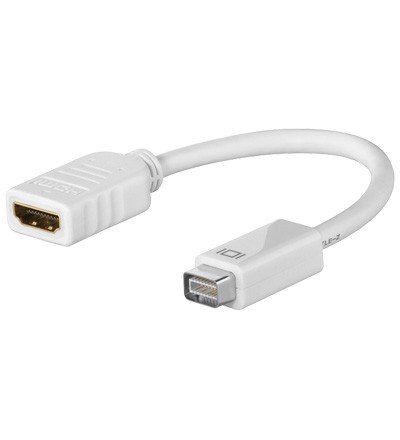 Wentronic HDMI Mini DVI-Adapter