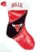 Chicago Bulls NBA Colorblock Himo Plush Stocking