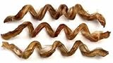 Pet Supplies : Curly Q
