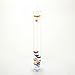 Read Multi-Coloured Galileo Thermometer 44cm 18.1001.01.54 Details Multi-Coloured Galileo Thermometer 44cm 18.1001.01.54