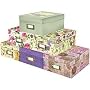 Pioneer 4-1/2 Inch by 8 Inch by 11-1/2 Inch Photo Storage Box, Assorted Designs