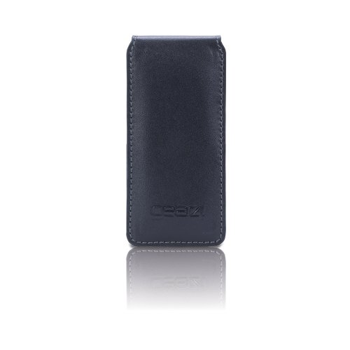 Childrens Toyshop  Electronics : iPod Nano Case - PG622BLK LeatherJacket Flip (black)