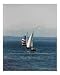 Seattle Harbor Motivational Photographic Poster Print by Linda Waltenberger, 8x10