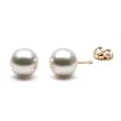 HinsonGayle Handpicked AAA 9.0-10.0mm White Australian South Sea Cultured Pearl Stud Earrings (14K Yellow Gold)