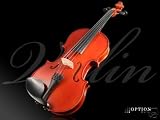 Solid Mapple Wood 4/4 Full Size Violin Fiddle Complete Set + Accessories