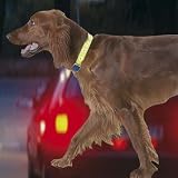 Karlie 64016 Safety Light 25 mm, 45 cm, schwarz