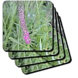natures beauty - Set Of 8 Coasters - Soft