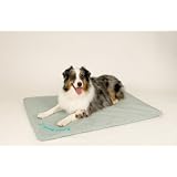 K&H Medium Cool Bed 3