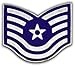 US Air Force E-6 Lapel Pin