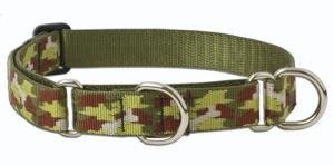 Lupine Large Martingale Style Dog Collar - Bone Hunter 19-27