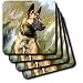 Dogs Belgian Malinois - Belgian Malinois - Coasters