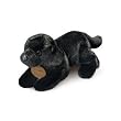 Russ Berrie  Yomiko Black Labrador 14"